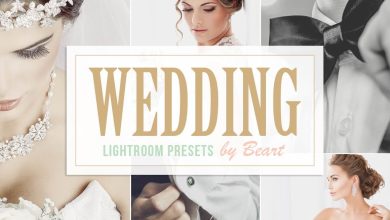 Creativemarket - Wedding Lightroom Presets free download