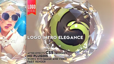 videohive Logo Intro Elegance free download