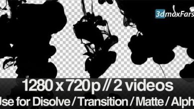 videohive – videohive 2 Ink Flowing in Water Transition / Matte / Mask (butlerm) free download