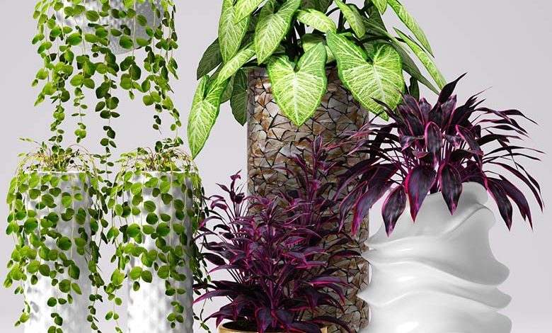 3DDD / 3DSky PRO models – Decorative Plants free download