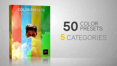 Motion Array – 50 Color Presets - Ultimate Pack - Premiere Pro Presets free download