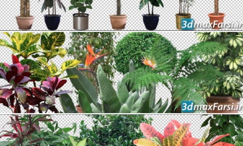 47 Cut out Pot plants for photoshop (PNG ) free download