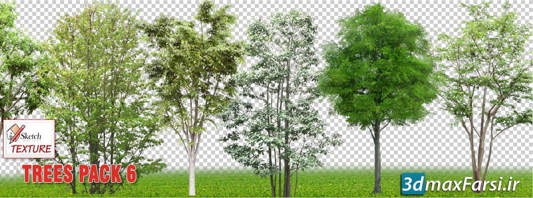 25 Cut out Vegetation Trees (PNG)