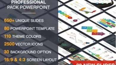 Graphicriver - powerpoint template professiona pack free download