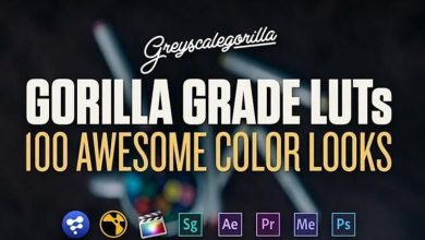 Greyscalegorilla – Gorilla Grade LUT’s (Updated)