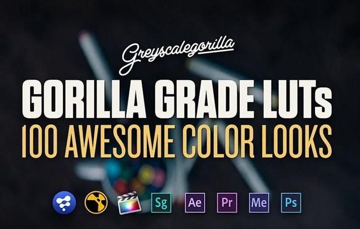 Greyscalegorilla – Gorilla Grade LUT’s (Updated)