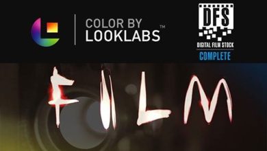 LookLabs – DIGITAL FILM STOCK (DFS) – 19 Film Emulation LUTs free download