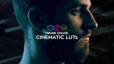 Triune Digital  –  CINEMATIC LUTS V1 free download