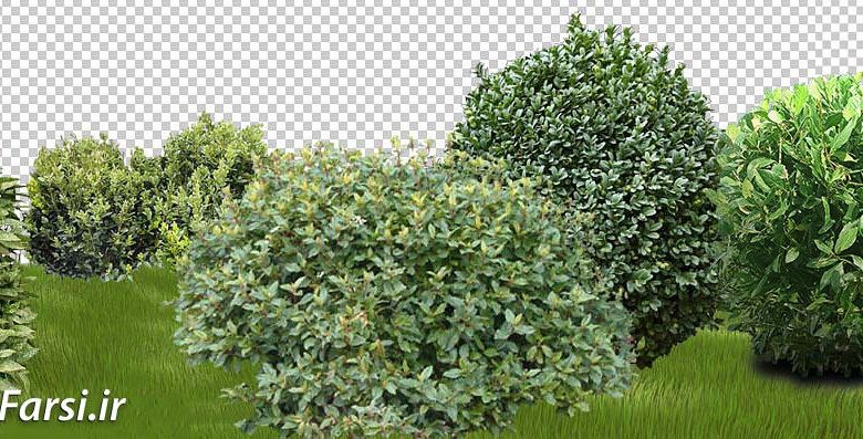 82 Vegetation shrubs cut out shrubs
