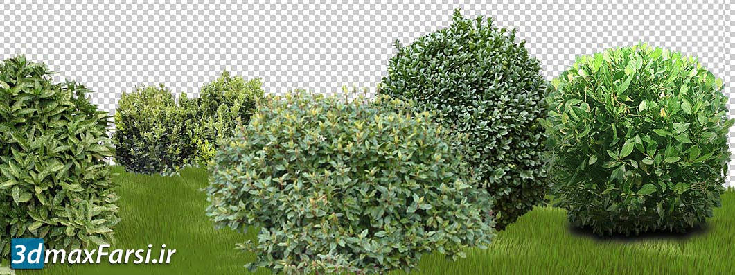 82 Vegetation shrubs cut out shrubs
