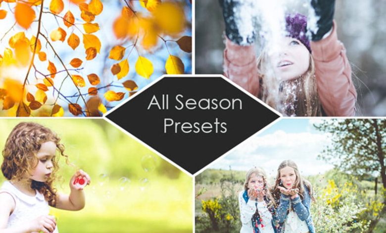 Etsy – 200 Lightroom Presets All Seasons Spring Summer Autumn Winter free download