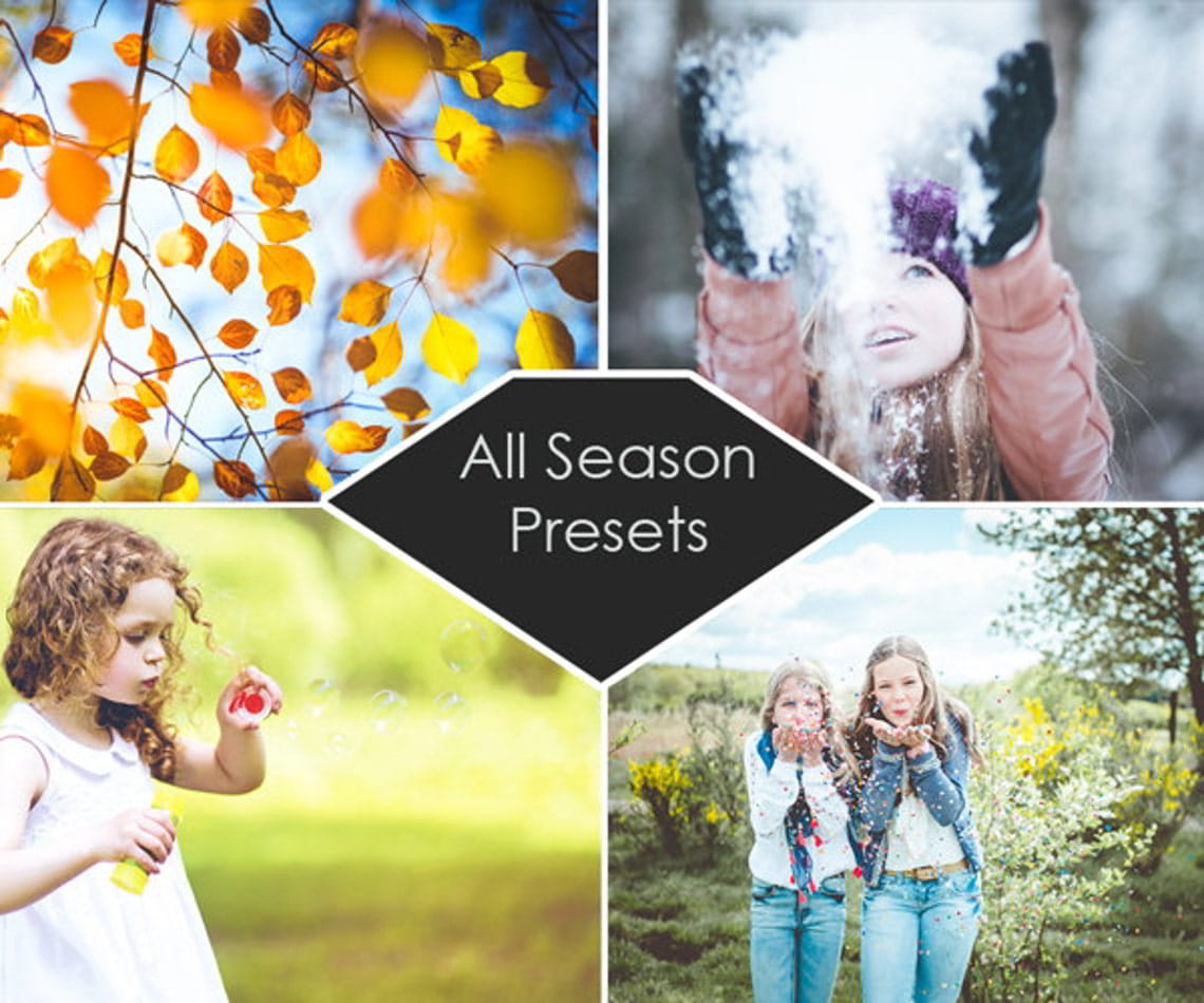 Etsy – 200 Lightroom Presets All Seasons Spring Summer Autumn Winter free download