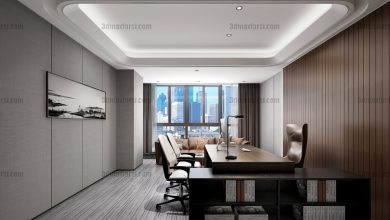 Manager office 3d scene 4 3ds max vray