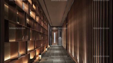 3D scene Corridor elevator interior 11