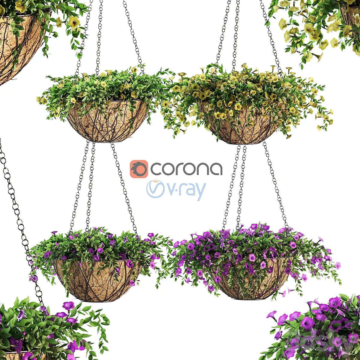 Flowers in a flower pot on a chain. Petunia. 4 models - Outdoor - 3D model