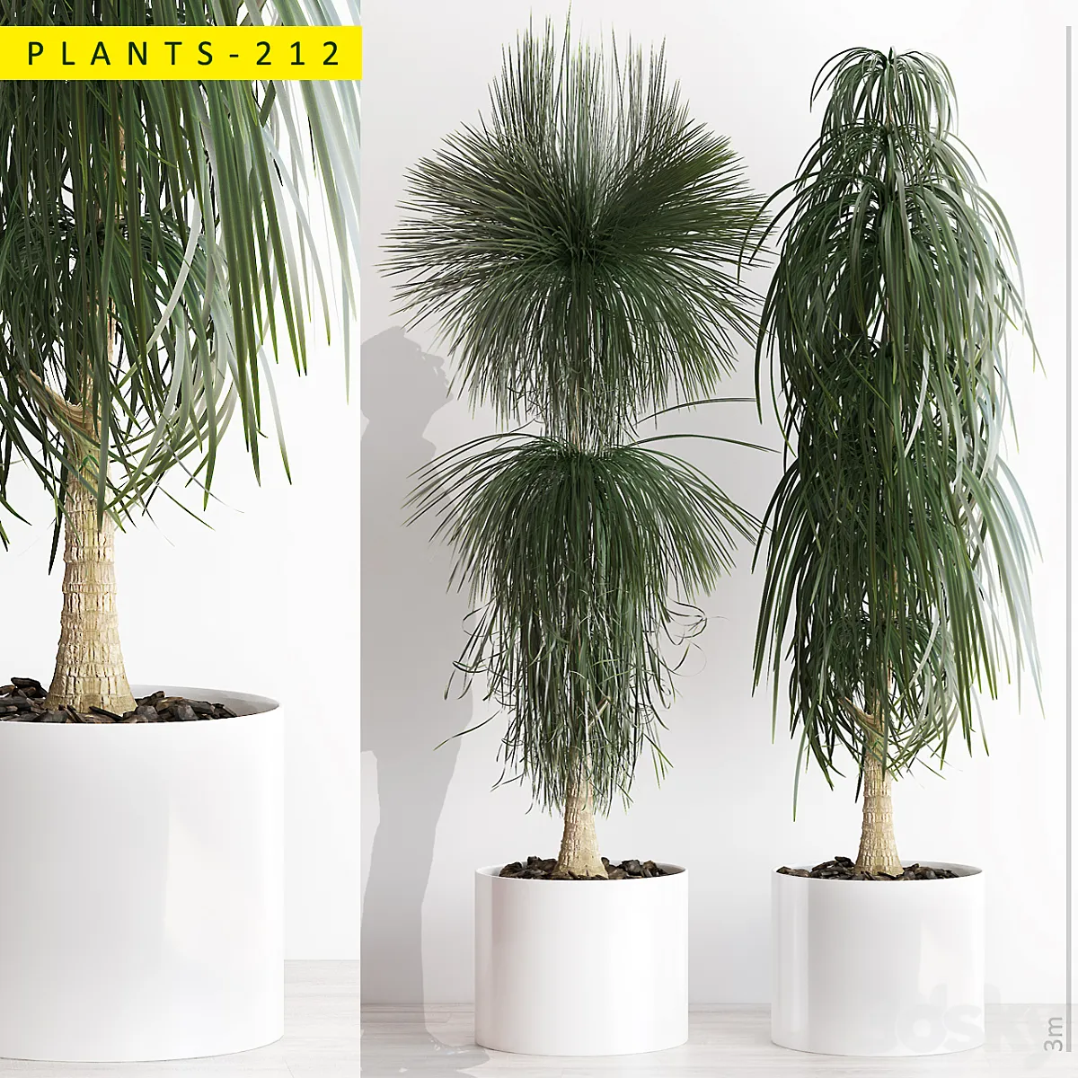 PLANTS 212 - Indoor - 3D model