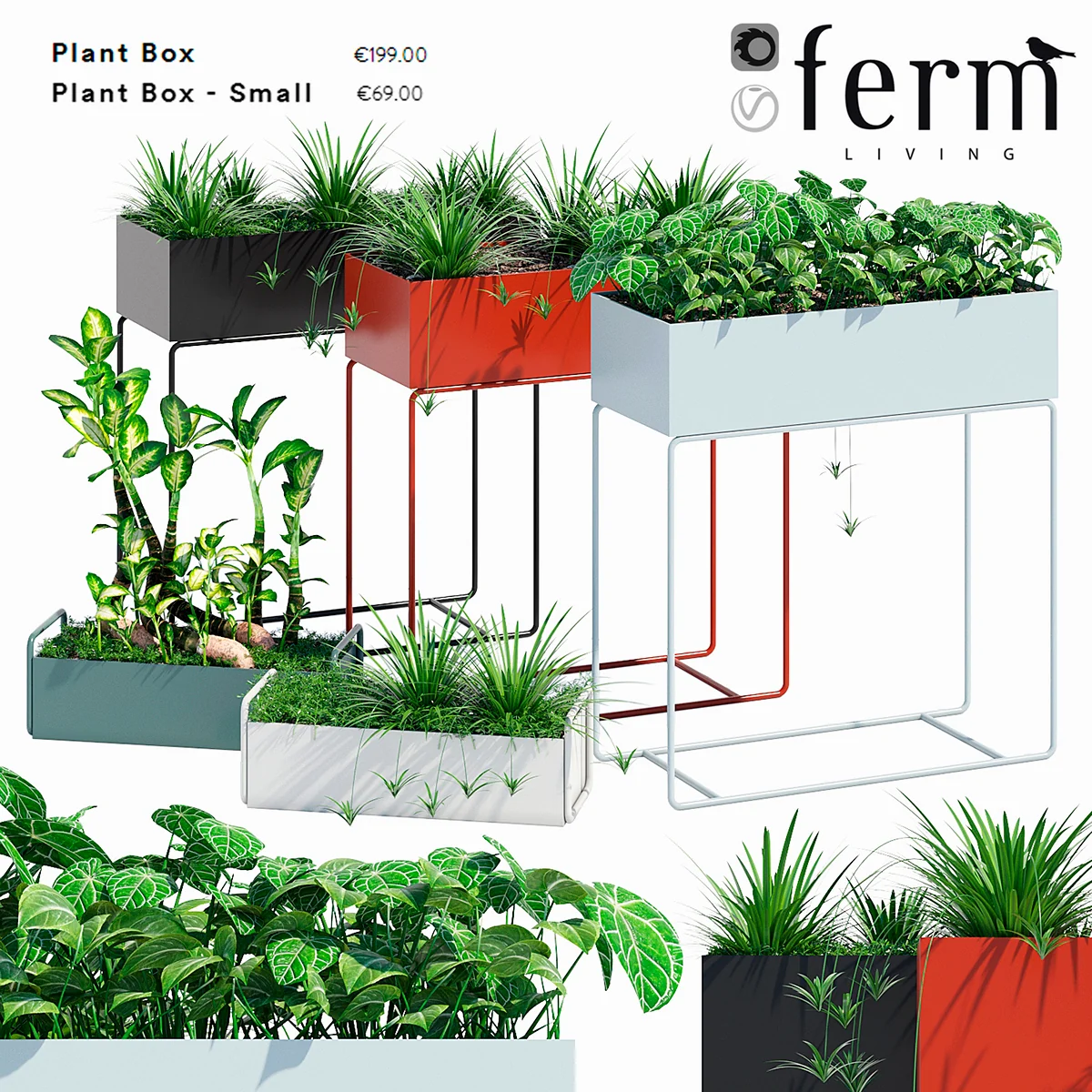 3dsky – Fermliving plant box free download