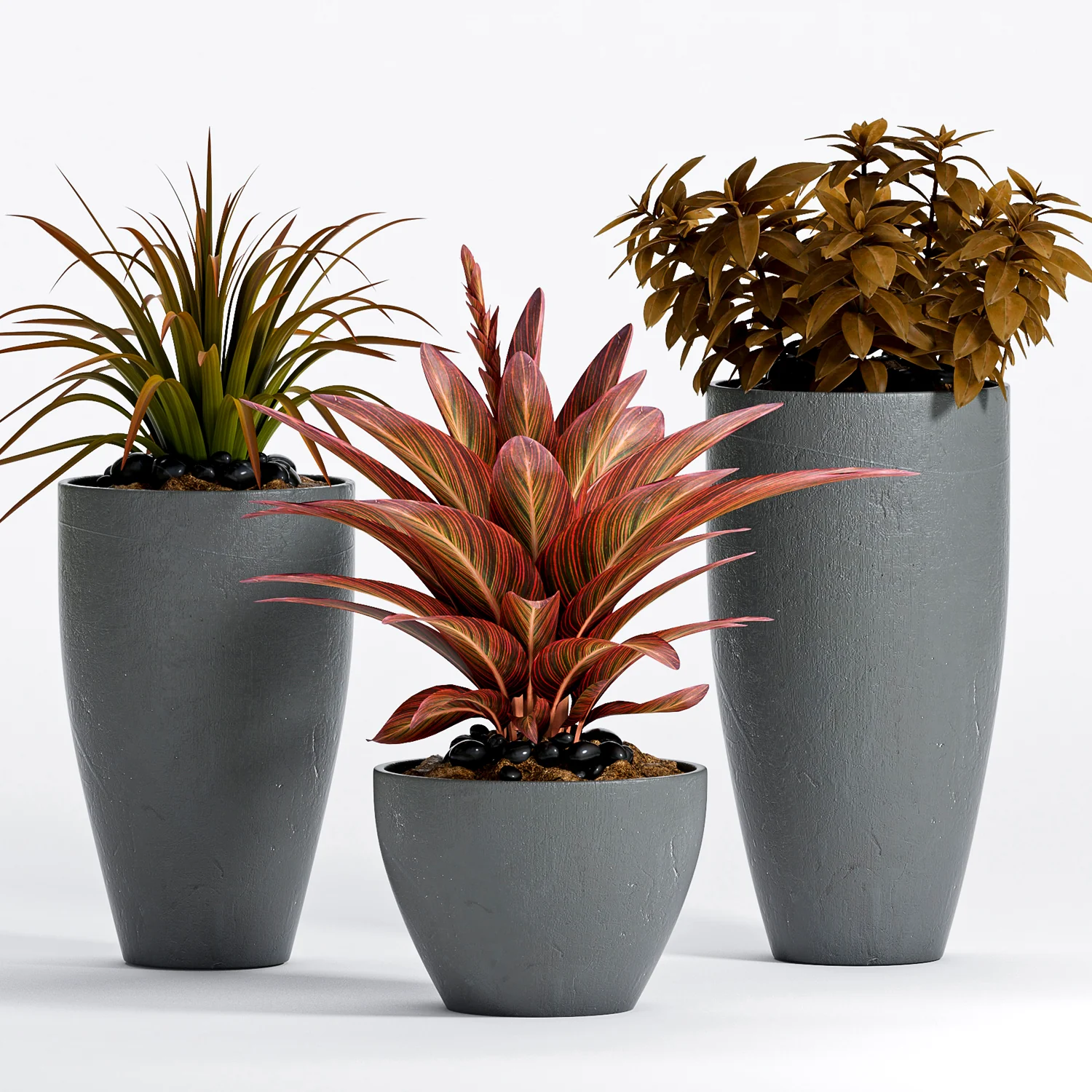3dsky – PLANT-14 download