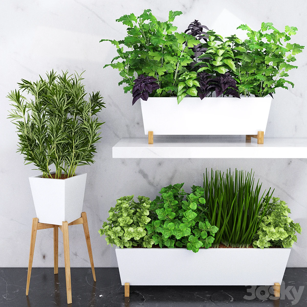 3dsky – Spicy herbs for the kitchen in ceramic pots download