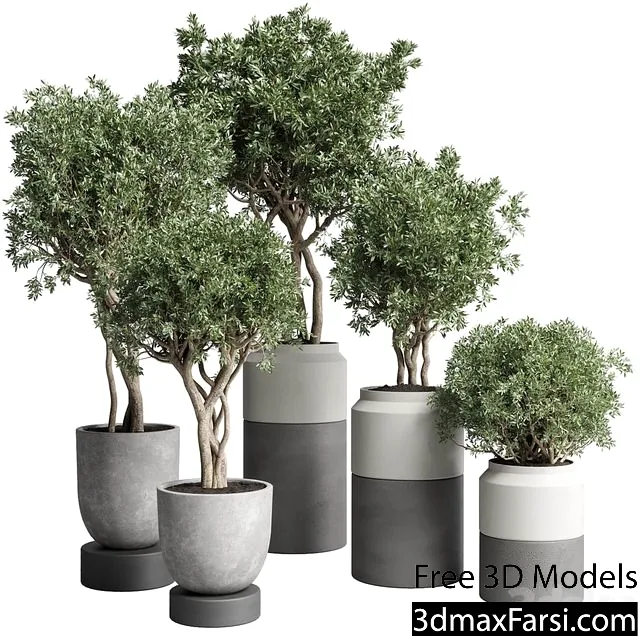 3dsky – Collection Indoor Plant 189 Concrete Dirt Vase Pot Tree 3d models free