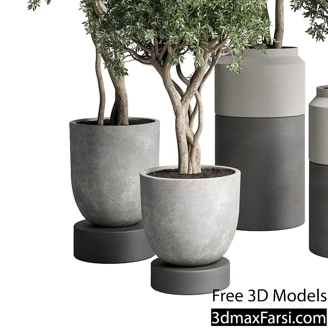 3dsky – Collection Indoor Plant 189 Concrete Dirt Vase Pot Tree