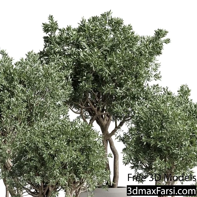 3dsky – Collection Indoor Plant 189 Concrete Dirt Vase Pot Tree 3d models