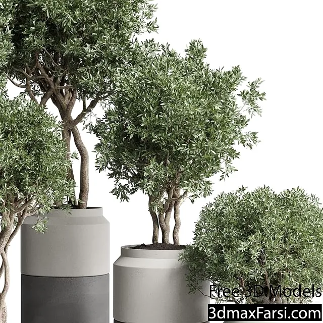 3dsky – Collection Indoor Plant 189 Concrete Dirt Vase Pot Tree 3d models download