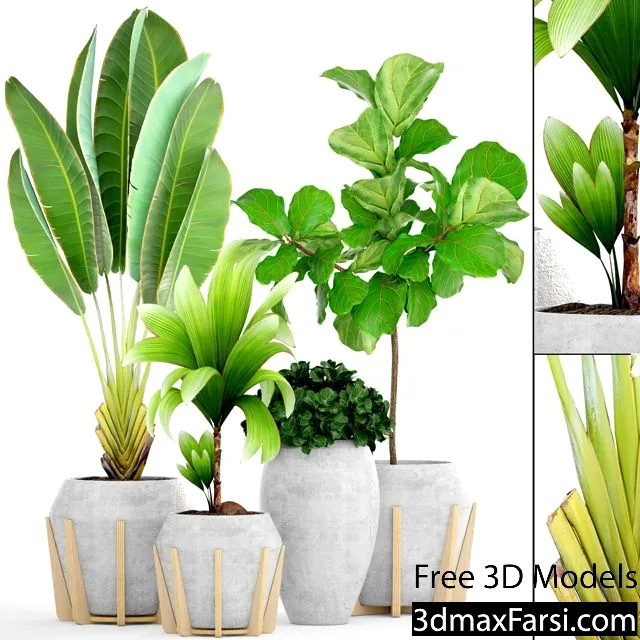 3dsky – Collection of plants 147 3d models download