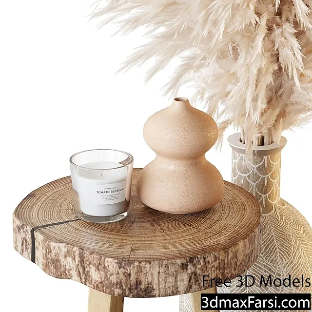 3dsky – Decorative set with pillows and pampas 3d