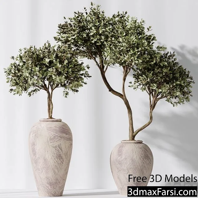 3dsky – Elastica Abidjan Melany and Mission Olive Tree Vase 18