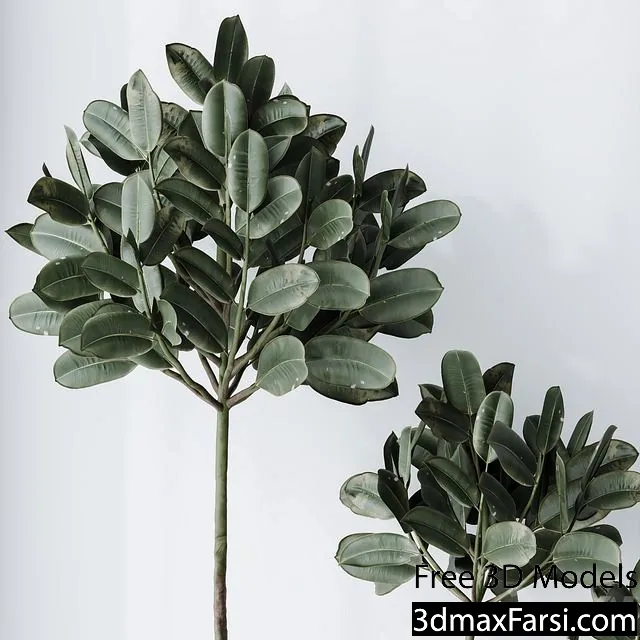 3dsky – Elastica Abidjan Melany and Mission Olive Tree Vase 18 3d models