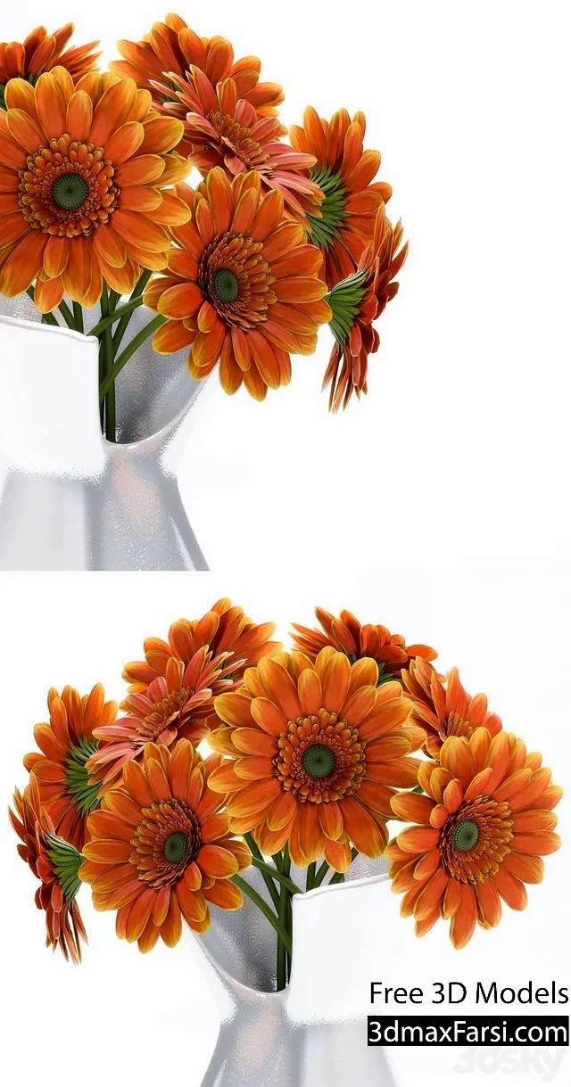 3dsky – Gerbera Flower 3d models free