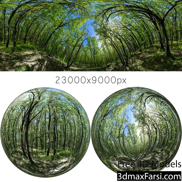 3dsky – HDRI map from oak forest 3d models download