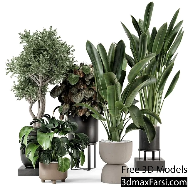 3dsky – Indoor Plants in Ferm Living Bau Pot Large - Set 1204 3d models download