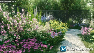 [Download] Maxtree – Plant Models Volume 3