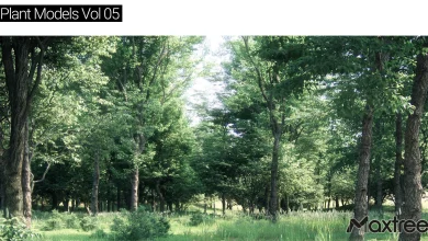 Maxtree – Plant Models Vol 5 free download