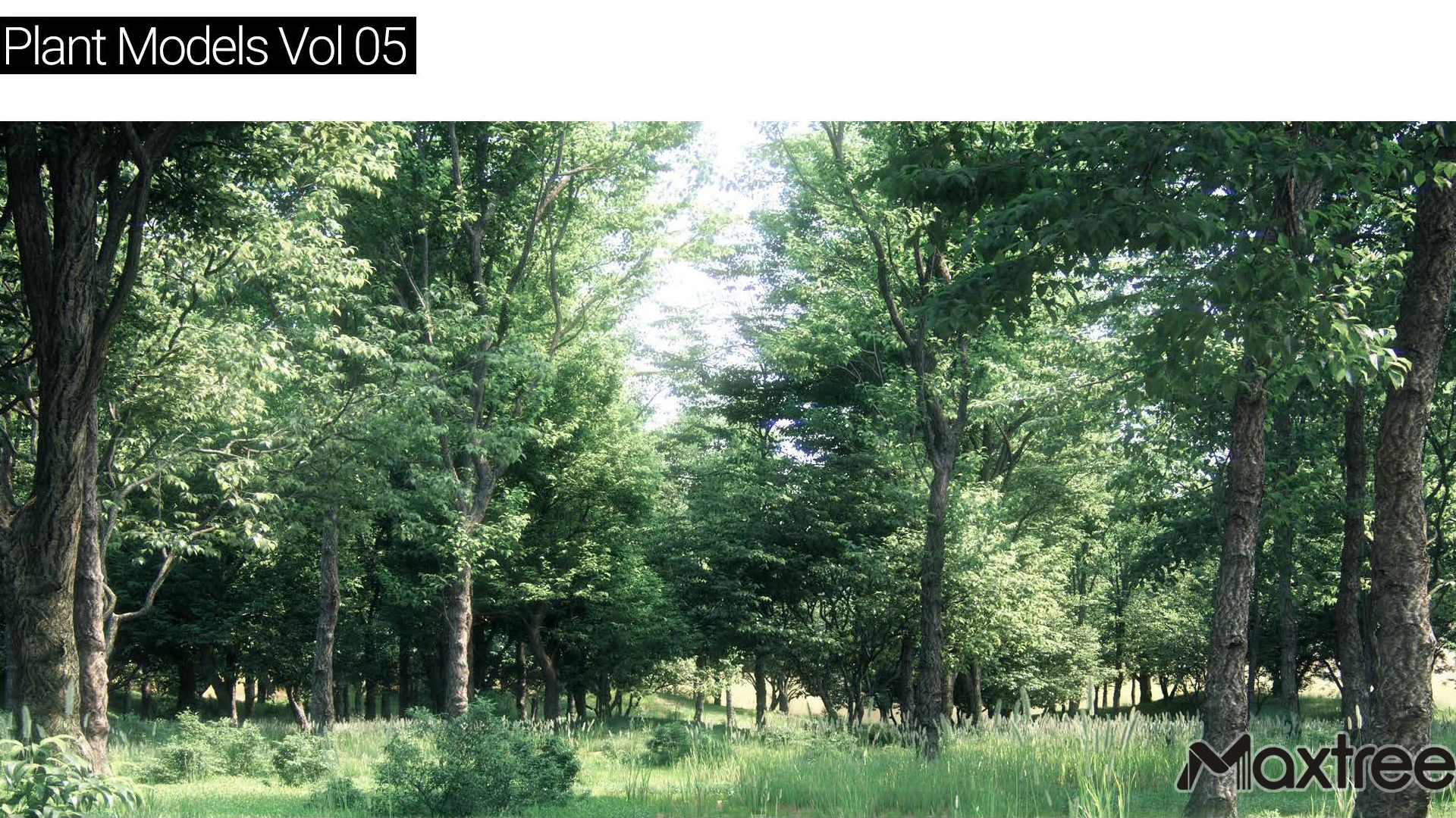 Maxtree – Plant Models Vol 5 free download