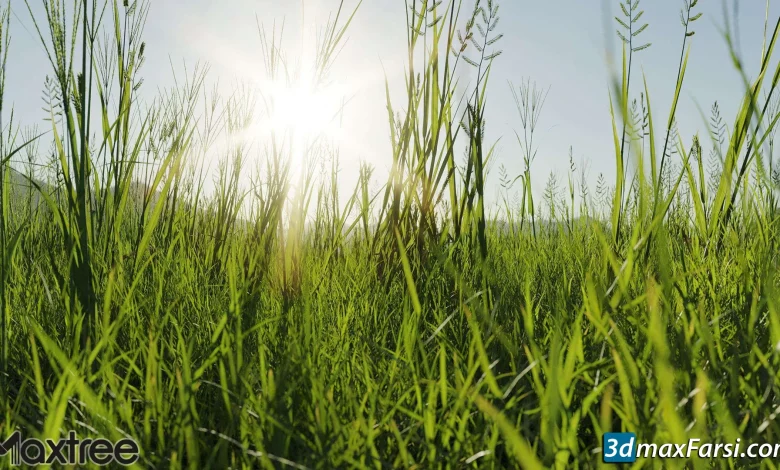 [Download] Maxtree – Plants Models Volume 1