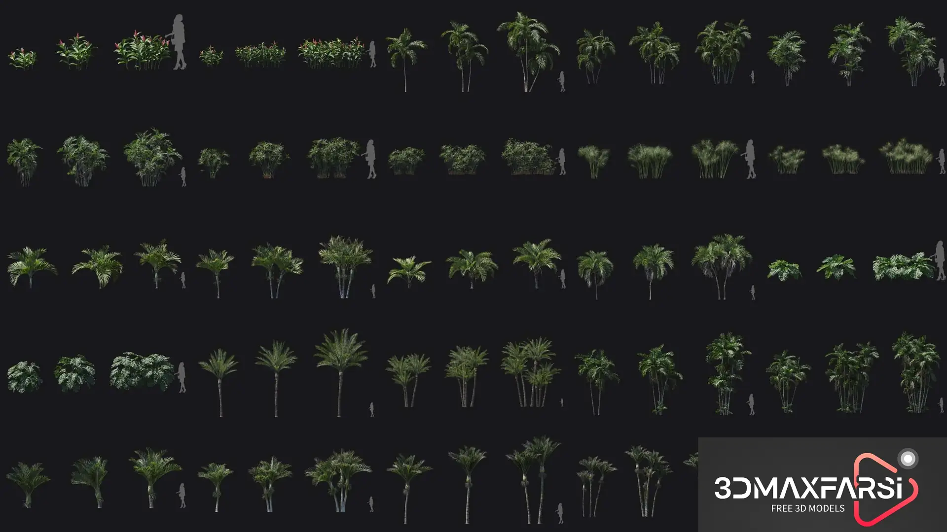 Maxtree – Plant Models Vol 71
