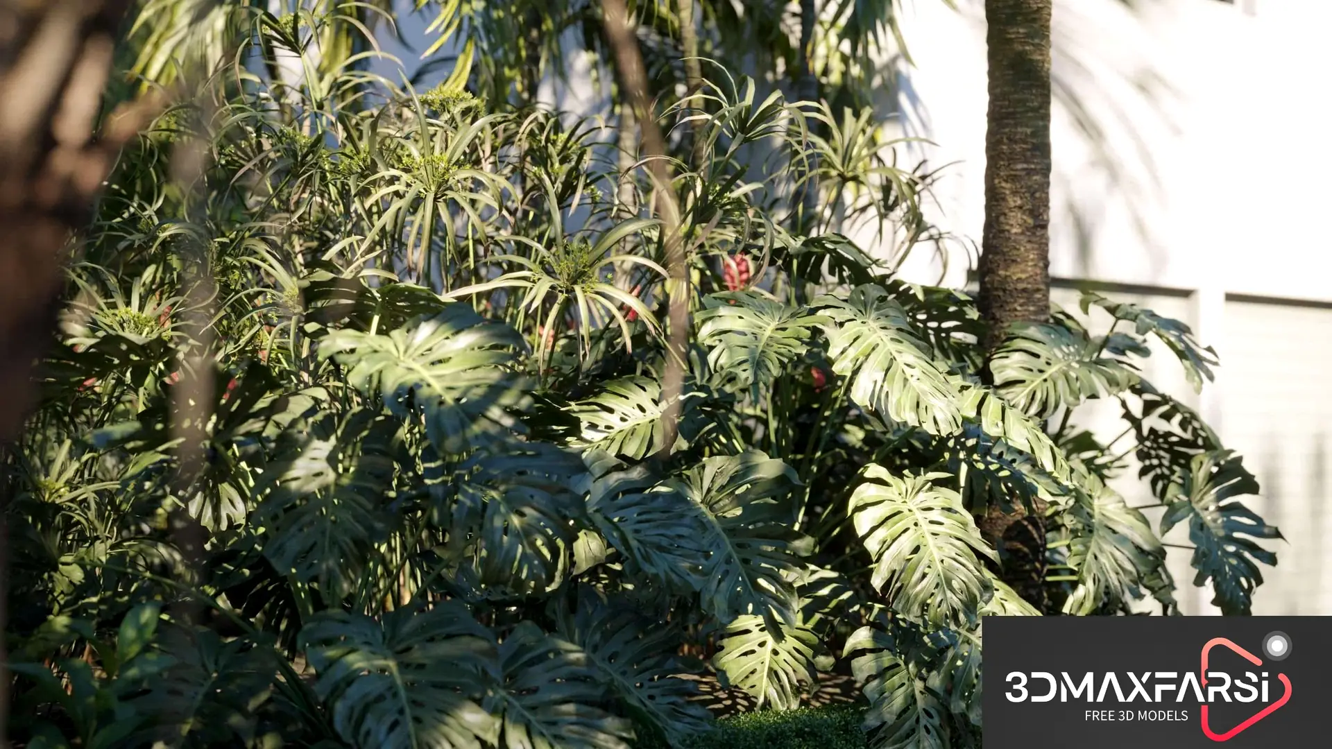 Maxtree – Plant Models Vol 71: 3D plant models download
