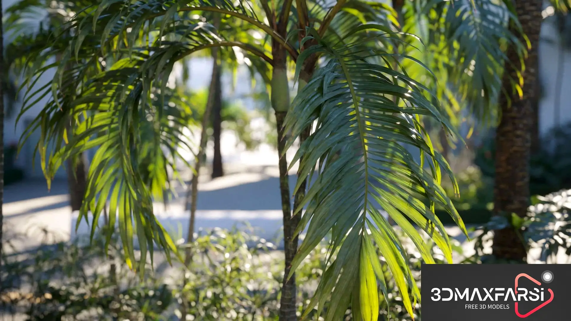 Maxtree – Plant Models Vol 71: 3D