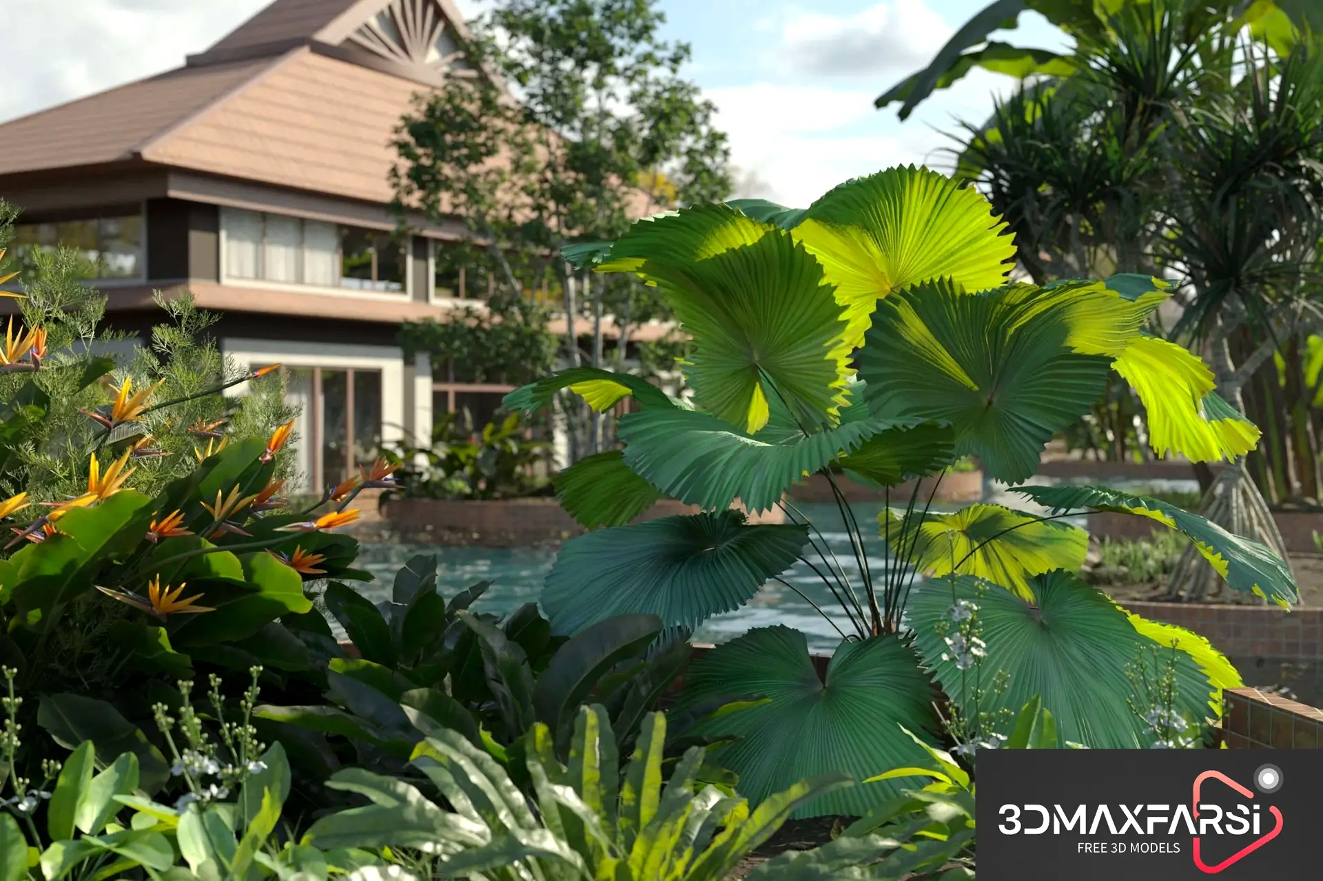 Maxtree – Plant Models Vol 72: 3D plant models free