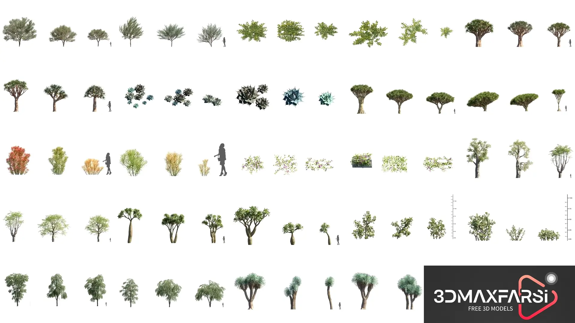 Plant Models Vol 73