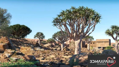 Maxtree – Plant Models Vol 73: 3D plant models