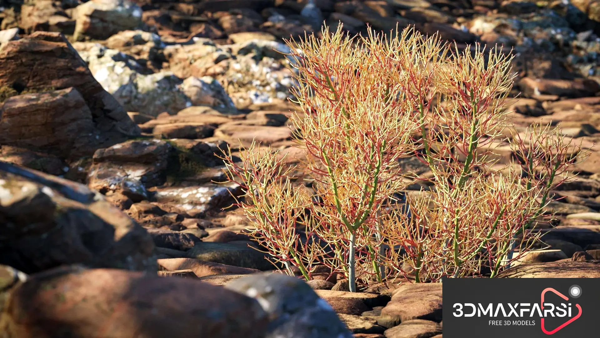 Maxtree – Plant Models Vol 73: 3D plant models free
