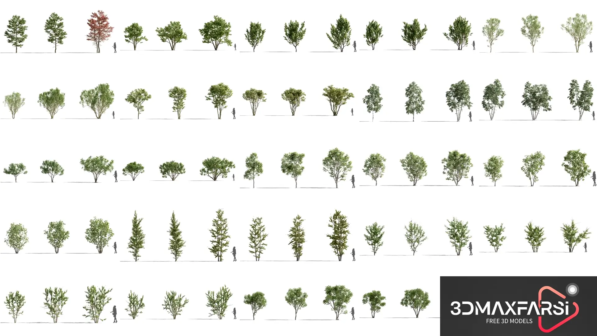 Plant Models Vol 74