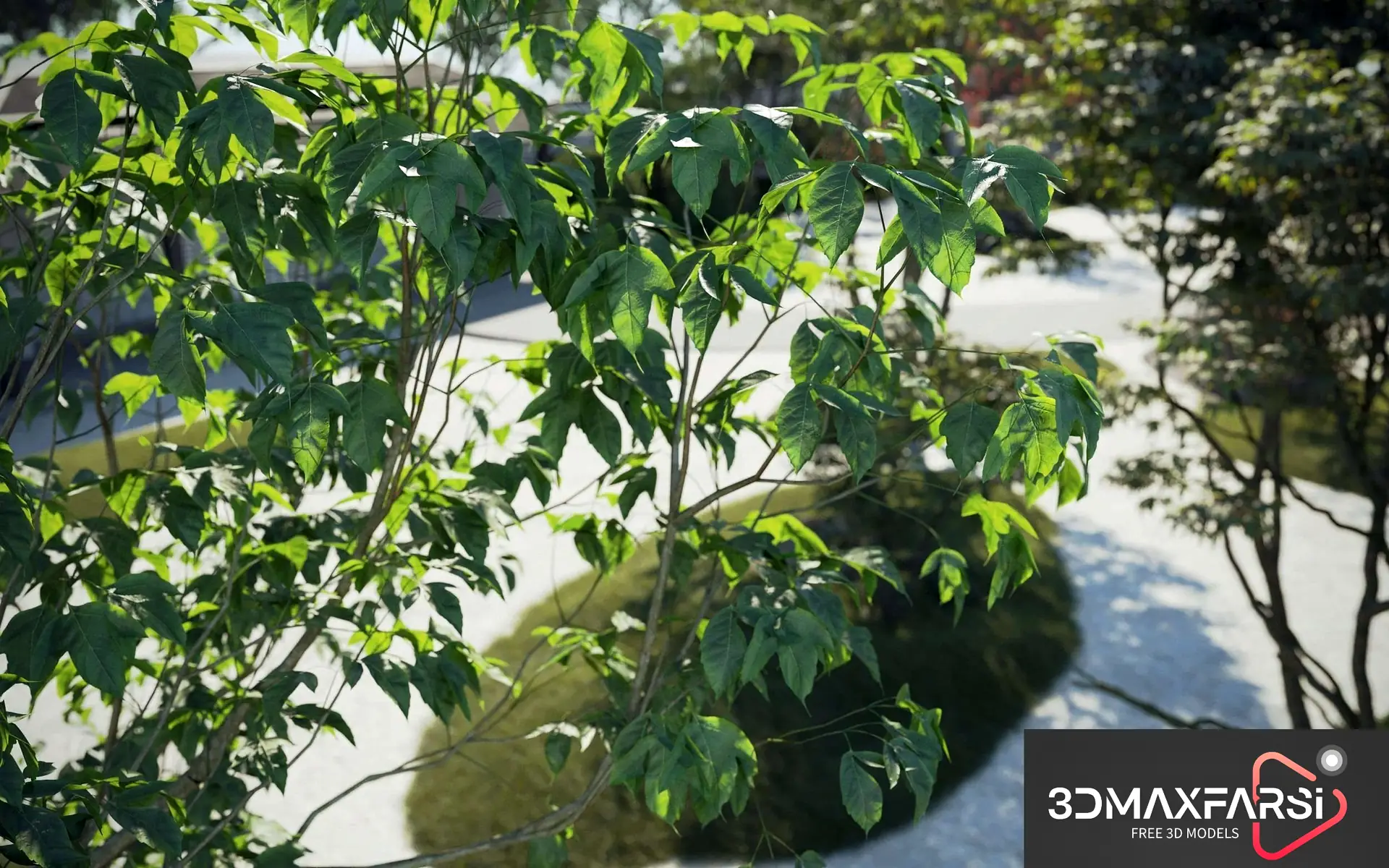 Maxtree – Plant Models Vol 74