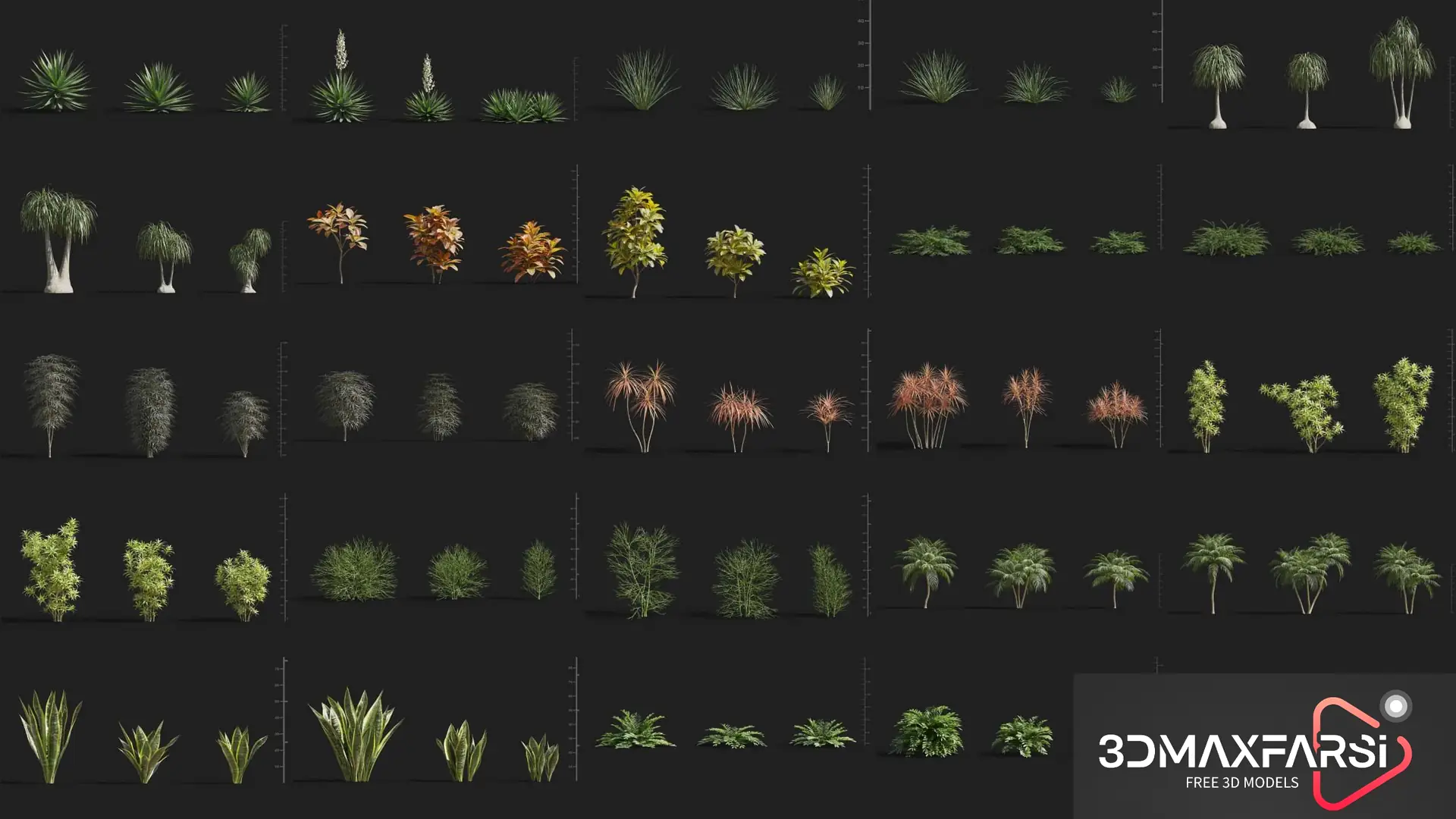 Plant Models Vol 75