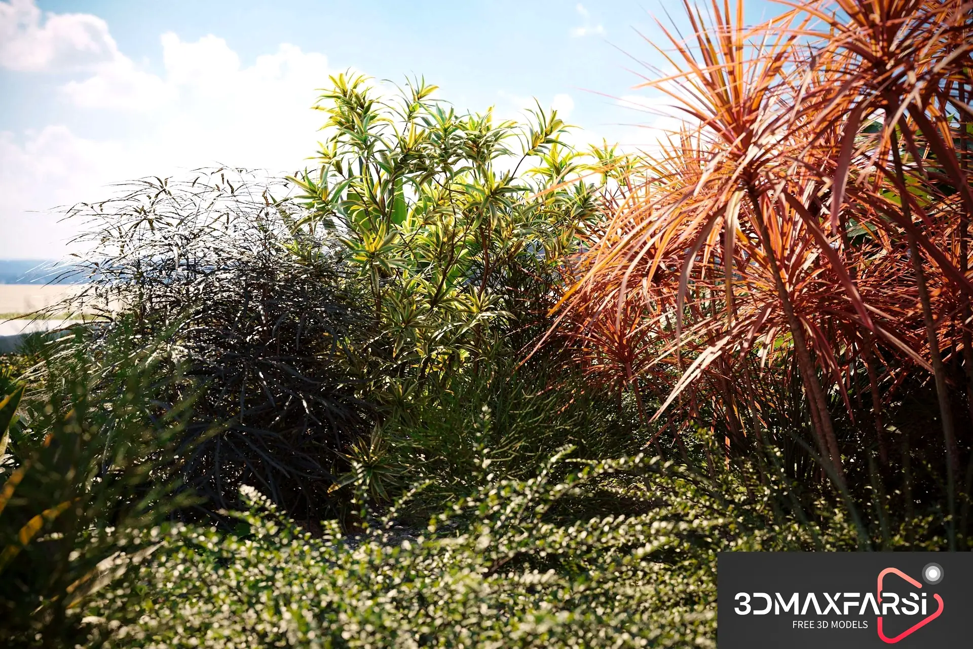 Maxtree – Plant Models Vol 75: 3D plant download