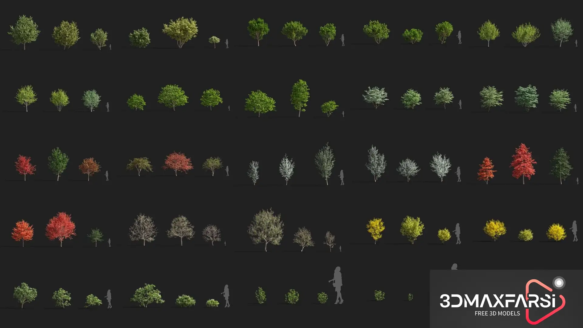 Plant Models Vol 76